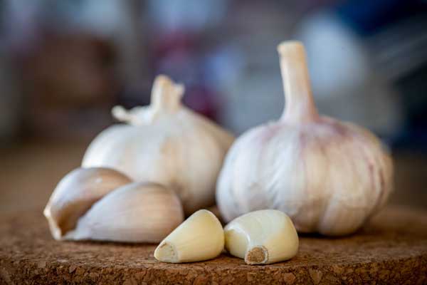 Garlic
