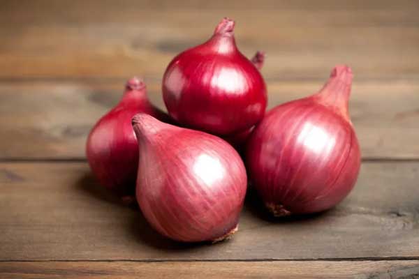 Onion