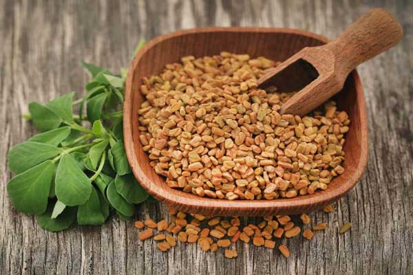 Fenugreek